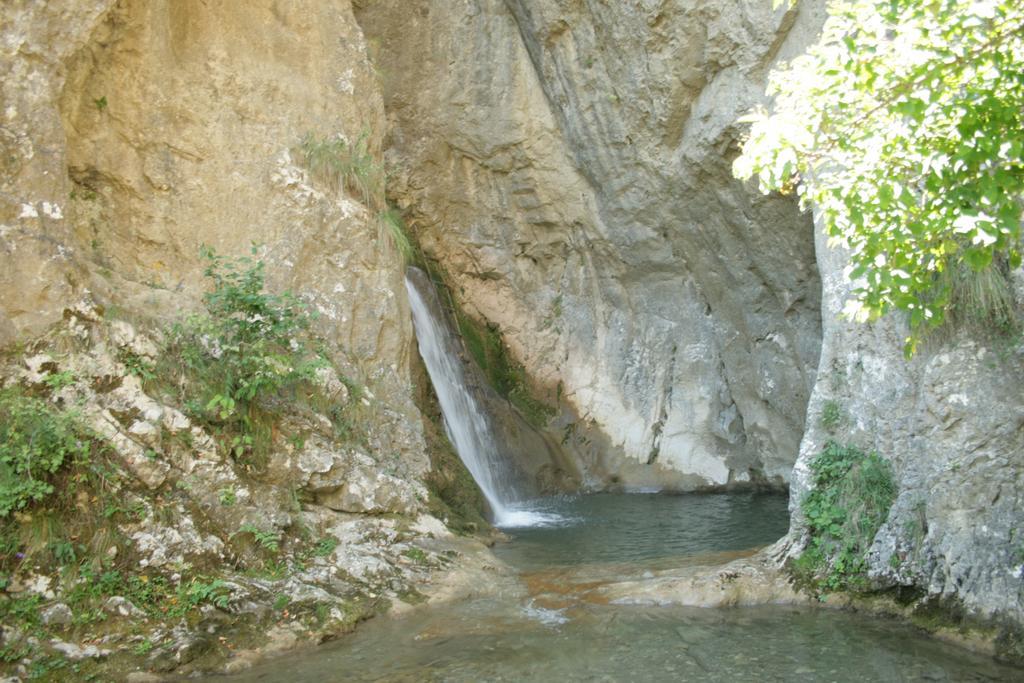 Cabana Poiana Galdei المظهر الخارجي الصورة